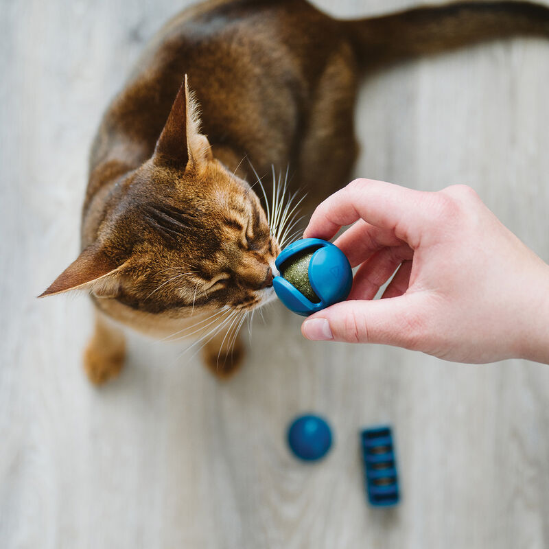 BeOneBreed, OBEE! Cat Toy Trio, 3 Pk image number null